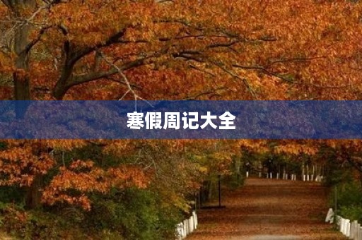 寒假周记大全 寒假周记大全