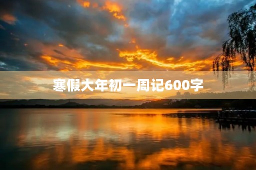 寒假大年初一周记600字