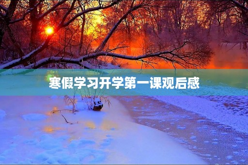 寒假学习开学第一课观后感 寒假学习开学第一课观后感
