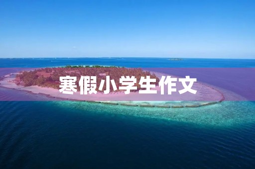 寒假小学生作文 寒假小学生作文