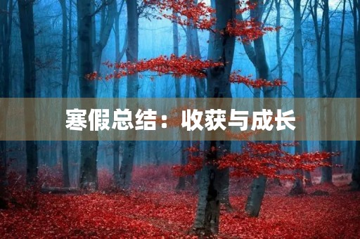 寒假总结：收获与成长