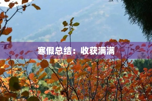 寒假总结:收获满满,成长不止 寒假总结:收获满满,成长不止