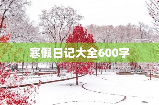 寒假日记大全600字