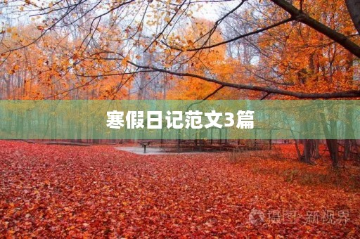 寒假日记范文3篇 寒假日记范文3篇