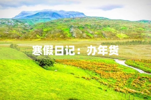 寒假日记：办年货