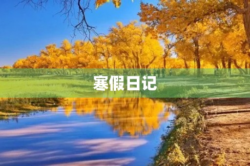寒假日记