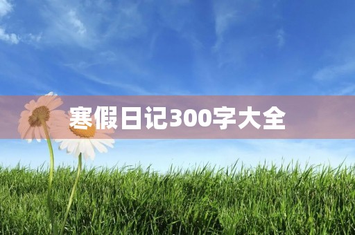 寒假日记300字大全