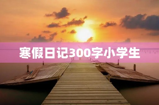 寒假日记300字小学生 寒假日记300字小学生