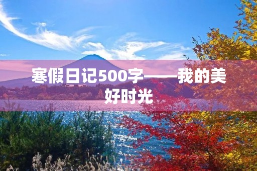 寒假日记500字——我的美好时光