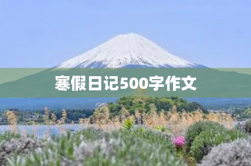 寒假日记500字作文 寒假日记500字作文