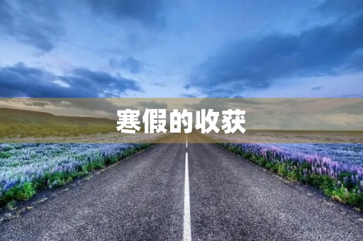 寒假的收获(寒假的收获怎么写)
