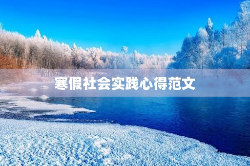 寒假社会实践心得范文
