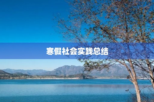 寒假社会实践总结