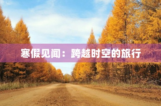 寒假见闻:跨越时空的旅行 寒假见闻:跨越时空的旅行