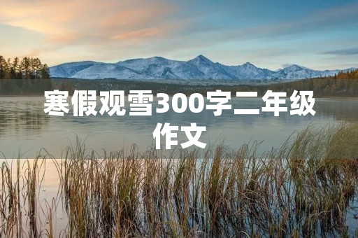寒假观雪300字二年级作文 寒假观雪300字二年级作文