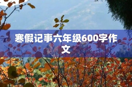 寒假记事六年级600字作文 寒假记事六年级600字作文