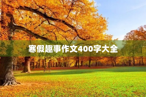 寒假趣事作文400字大全