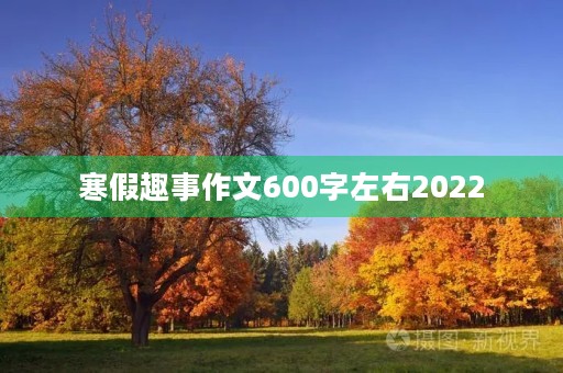 寒假趣事作文600字左右2022 寒假趣事作文600字左右2022