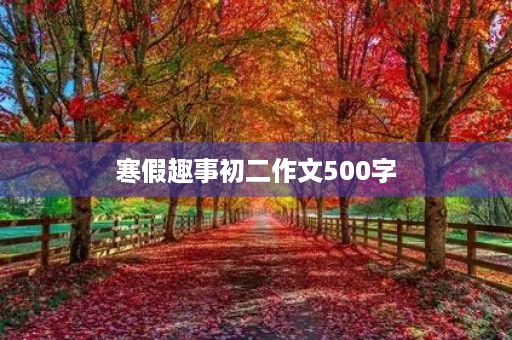 寒假趣事初二作文500字