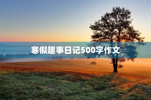 寒假趣事日记500字作文 寒假趣事日记500字作文