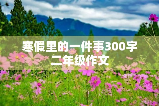 寒假里的一件事300字二年级作文