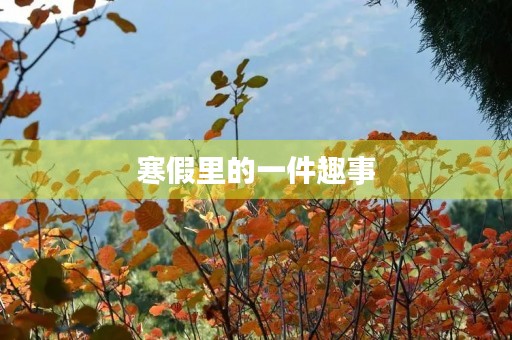 寒假里的一件趣事