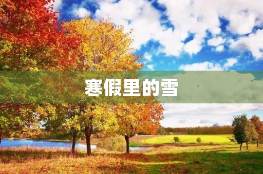 寒假里的雪
