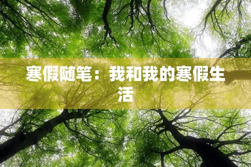 寒假随笔：我和我的寒假生活