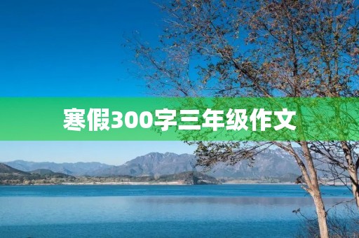 寒假300字三年级作文