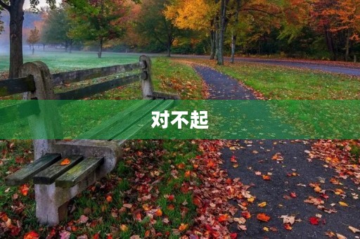 对不起，常婆婆900字三年级作文