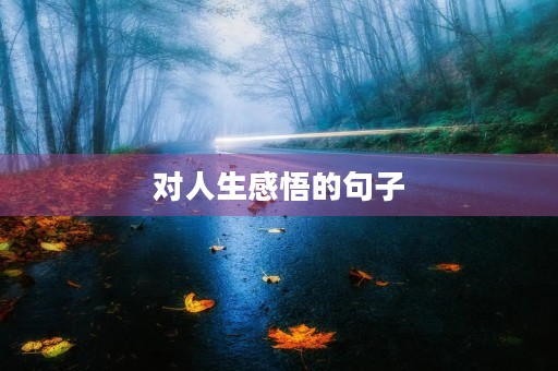 对人生感悟的句子(对人生感悟的句子简短)
