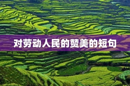 对劳动人民的赞美的短句，干活的人最美的句子