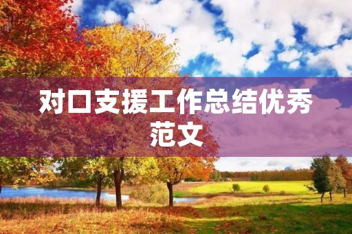 对口支援工作总结优秀范文