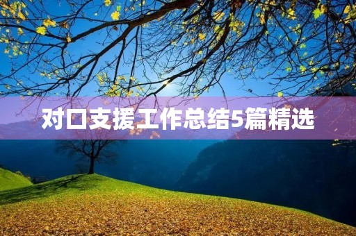对口支援工作总结5篇精选