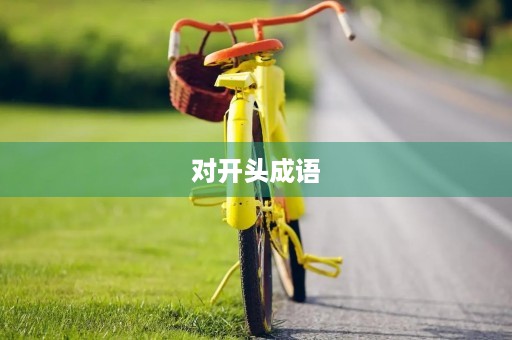 对开头成语