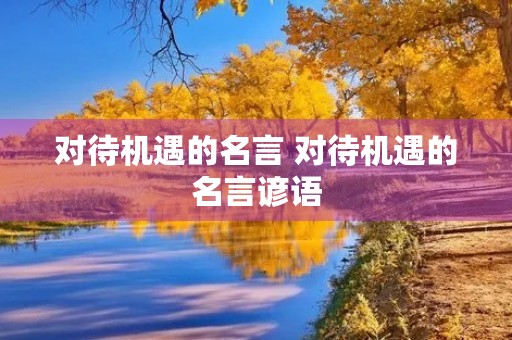 对待机遇的名言 对待机遇的名言谚语 对待机遇的名言 对待机遇的名言谚语
