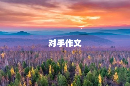 对手作文 对手作文