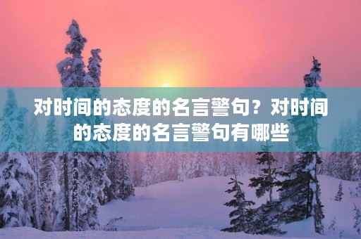 对时间的态度的名言警句？对时间的态度的名言警句有哪些