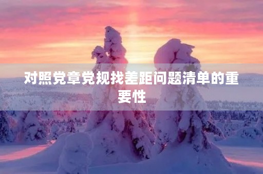 对照**党规找差距问题清单的重要性