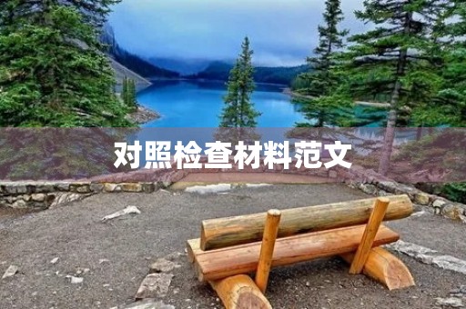 对照检查材料范文