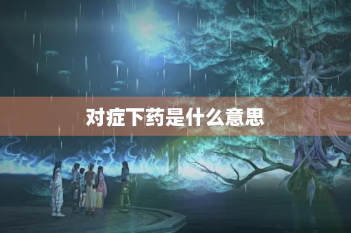 对症下药是什么意思