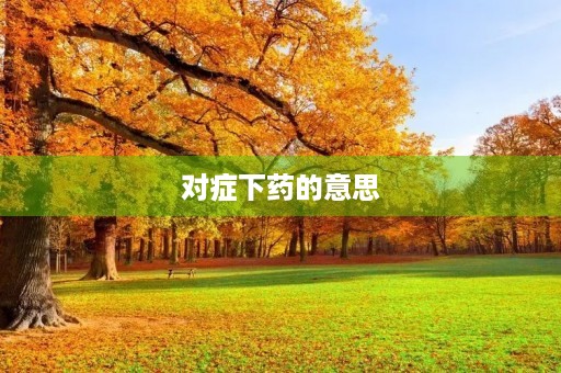 对症下药的意思(对症下药)