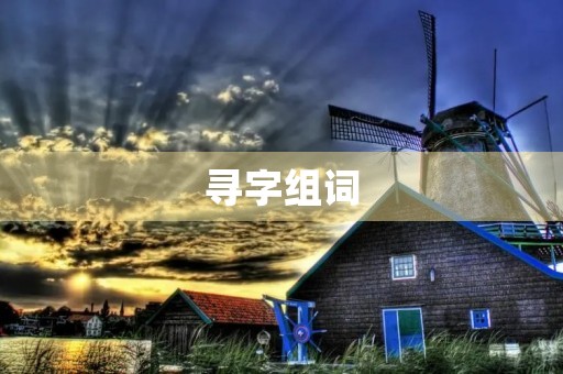 寻字组词(寻的组词)