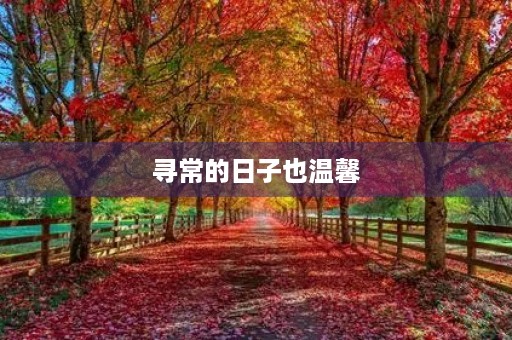 寻常的日子也温馨