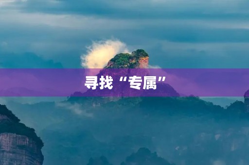 寻找“专属”