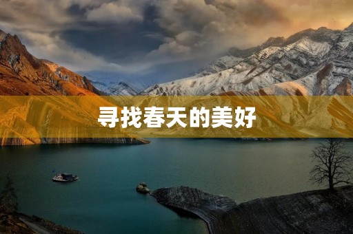 寻找春天的美好 寻找春天的美好