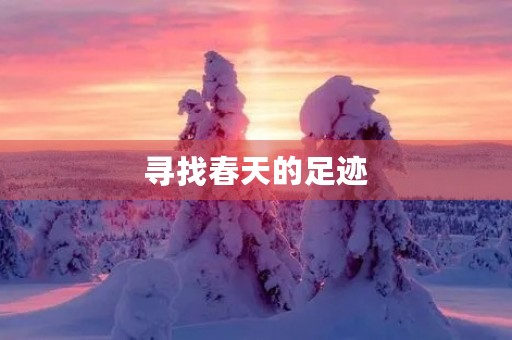 寻找春天的足迹 寻找春天的足迹