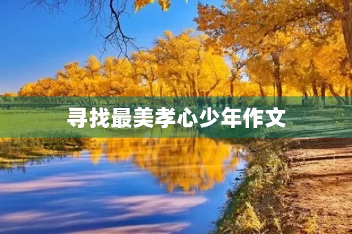 寻找最美孝心少年作文