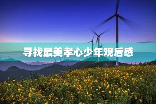 寻找最美孝心少年观后感