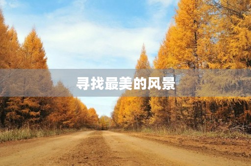 寻找最美的风景